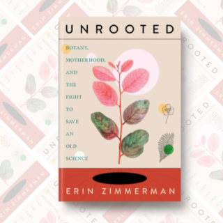 Read an Excerpt from UNROOTED